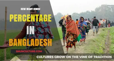 Hindu Population in Bangladesh: Understanding the Percentage and Trends