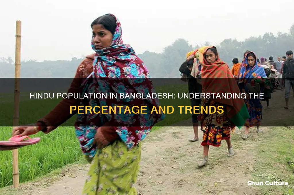 how many hindu percentage in bangladesh