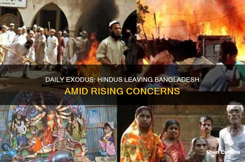 how many hindus leave bangladesh daily