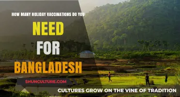 Essential Holiday Vaccinations for Safe Travel to Bangladesh: A Guide