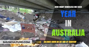 Australia's Homeless Crisis: Annual Death Toll and Urgent Solutions