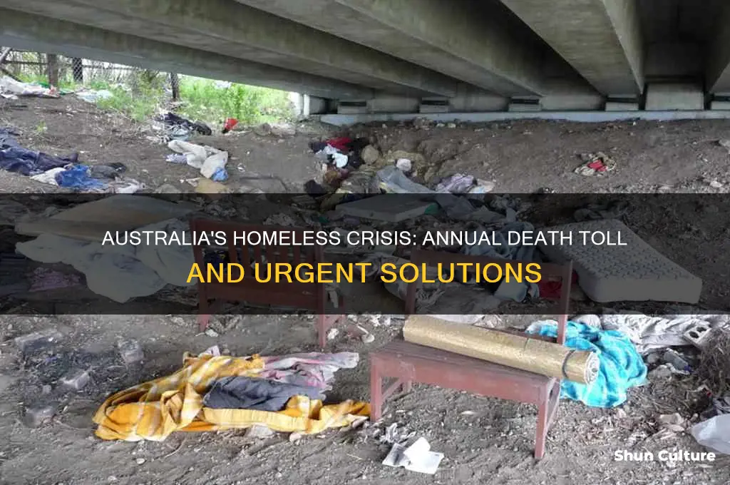 how many homeless die each year in australia