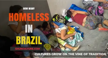 Brazil's Homeless Crisis: Understanding the Scale and Impact