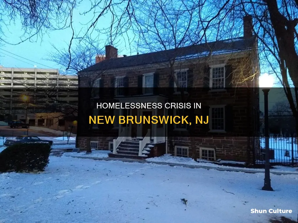 how many homeless in new brunswick nj