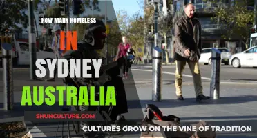 Sydney's Homeless Crisis: Understanding the Growing Numbers and Impact