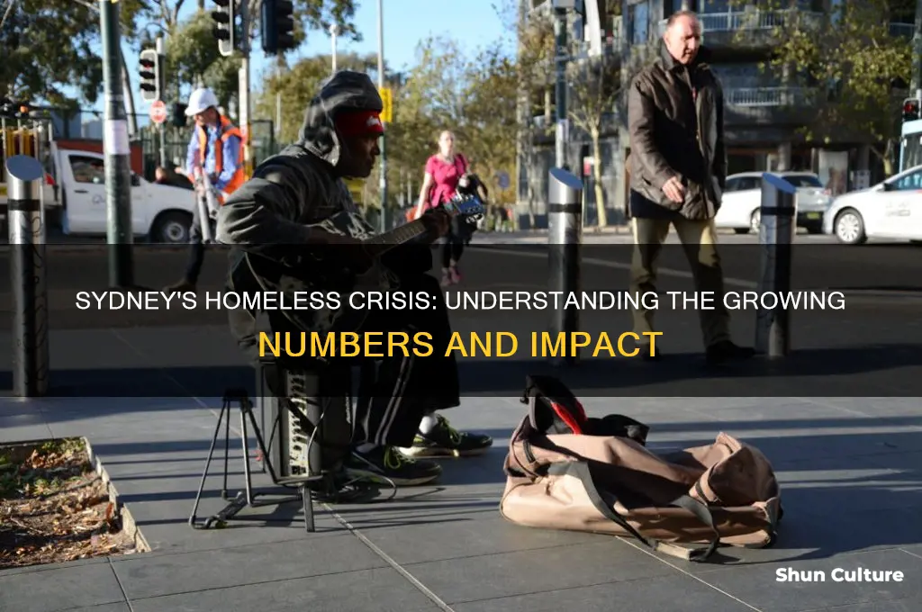 how many homeless in sydney australia