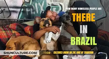 Brazil's Homeless Crisis: Understanding the Scope and Scale