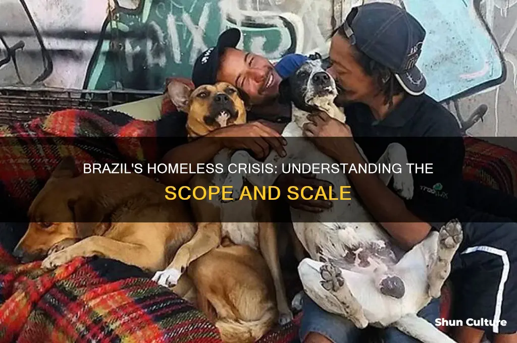 how many homeless people are there in brazil