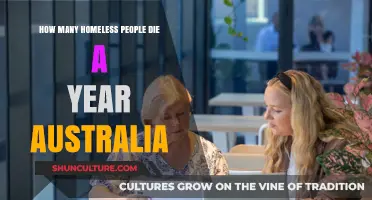 Homeless Deaths in Australia: A Yearly Tragedy