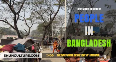 Understanding Bangladesh's Homeless Crisis: Numbers, Causes, and Solutions