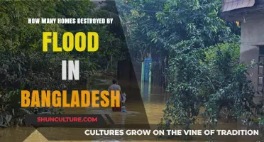 Flood Devastation in Bangladesh: Counting Homes Lost to Rising Waters