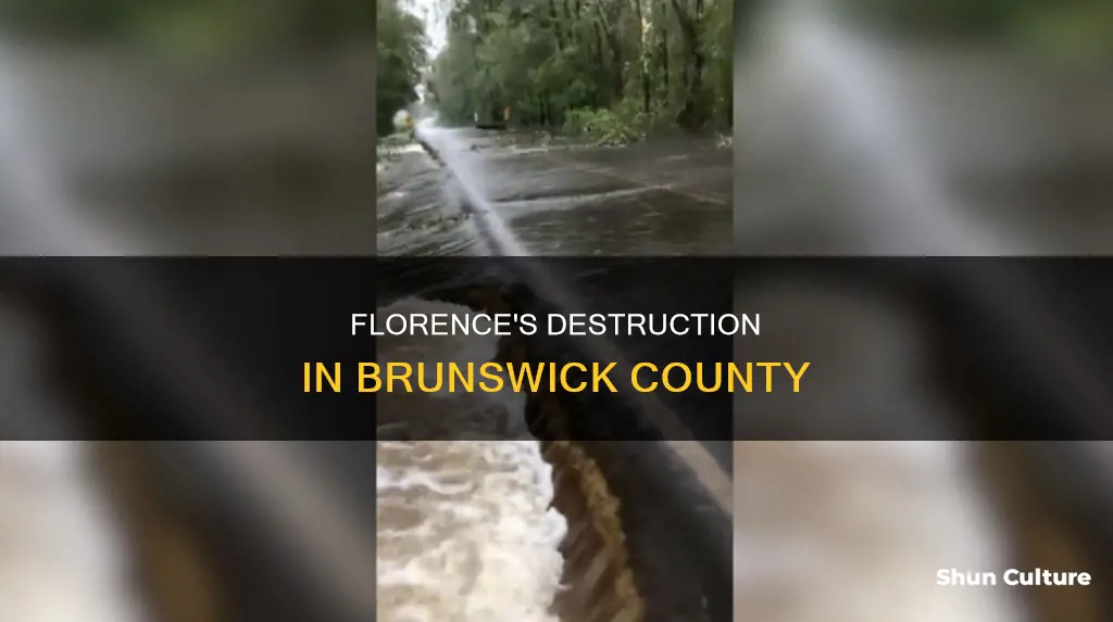 how many homes destroyed by hurricane florence brunswick county