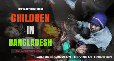 Addressing Bangladesh's Homeless Children Crisis: Alarming Numbers and Urgent Solutions