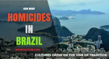 Brazil's Homicide Crisis: Uncovering the Shocking Statistics and Trends