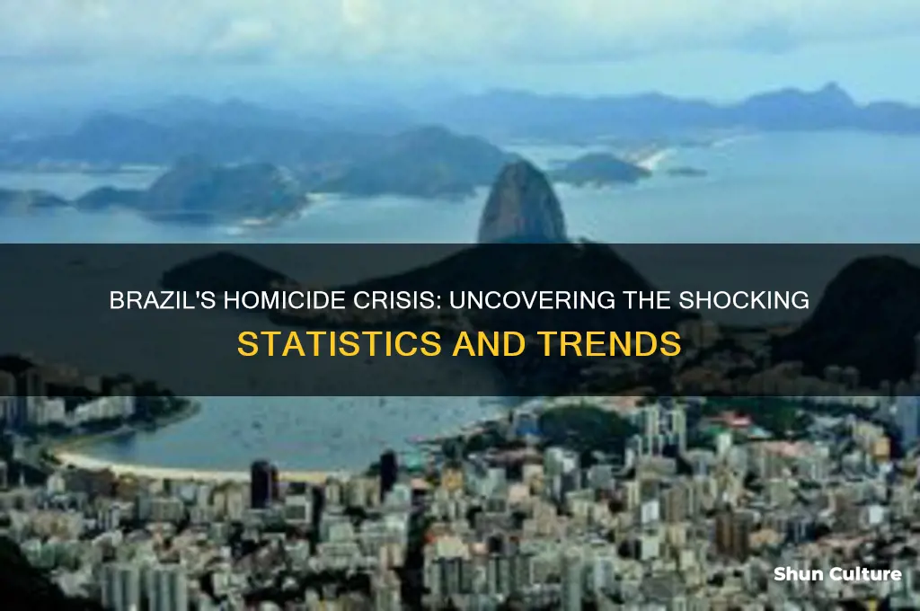 how many homicides in brazil
