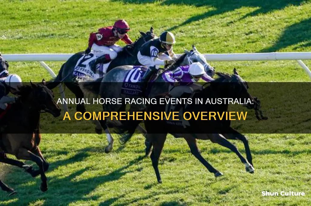 how many horse races in australia per year