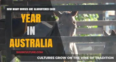 Annual Horse Slaughter Numbers in Australia: A Startling Reality
