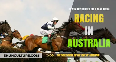 Annual Racing Toll: Horse Fatalities in Australian Horse Racing