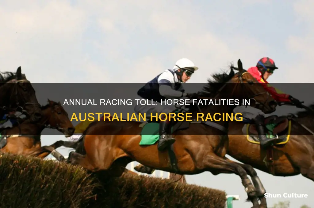 how many horses die a year from racing in australia