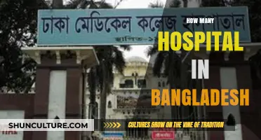 Exploring Bangladesh's Healthcare Infrastructure: Total Number of Hospitals Revealed