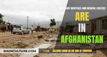 Afghanistan's Healthcare Landscape: A Comprehensive Overview of Hospitals and Medical Facilities