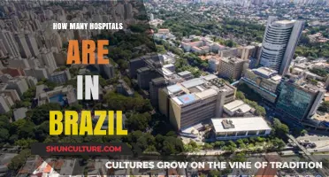 Exploring Brazil's Healthcare: The Number of Hospitals Nationwide