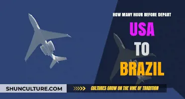 Travel Tips: Ideal Departure Time from USA to Brazil Explained