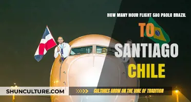 Sao Paulo to Santiago Flight Duration: How Long is the Journey?