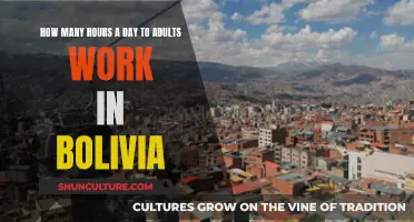 Working Hours in Bolivia: How Long Do Adults Work Daily?