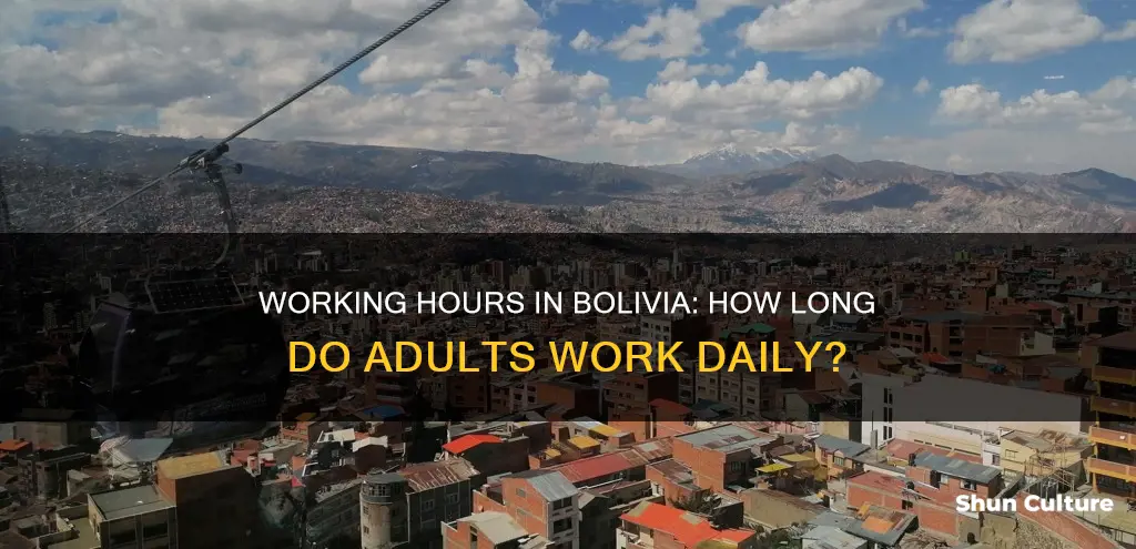 how many hours a day to adults work in bolivia