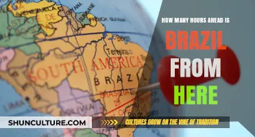 Brazil's Time Zone: How Many Hours Ahead Are They From You?