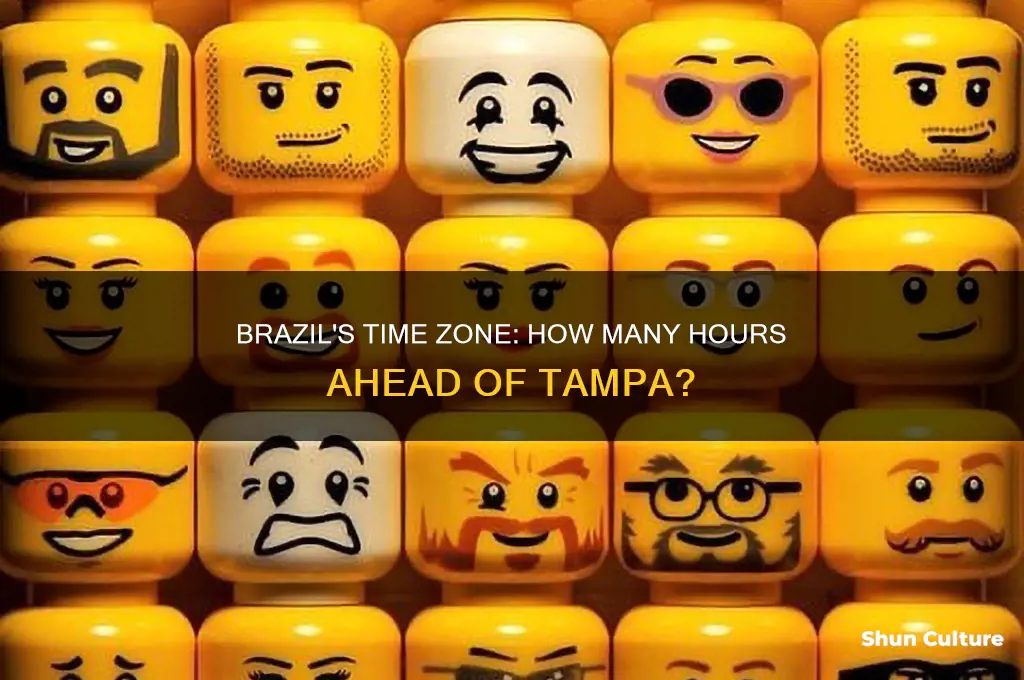 how many hours ahead is brazil from tampa