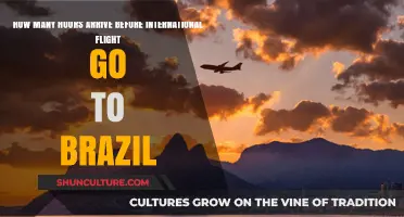 Arriving Early for Your International Flight to Brazil: Timing Tips