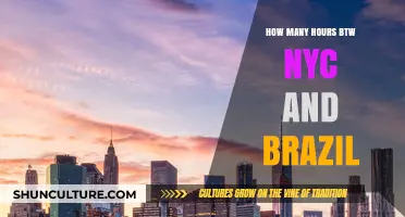 Exploring Flight Durations: NYC to Brazil Travel Time Revealed