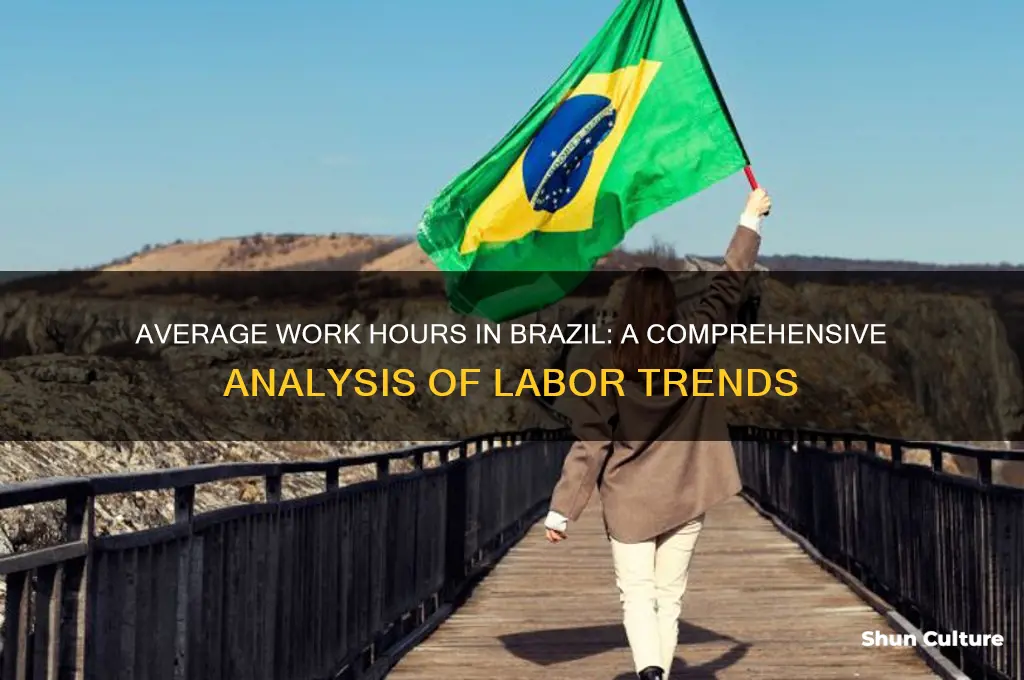 how many hours does an average person in brazil work