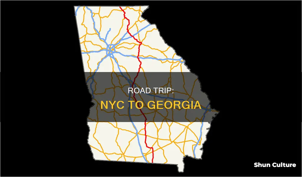 how many hours drive from nyc to brunswick georgia