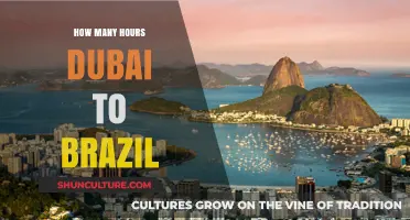 Dubai to Brazil Flight Duration: How Many Hours to Travel?