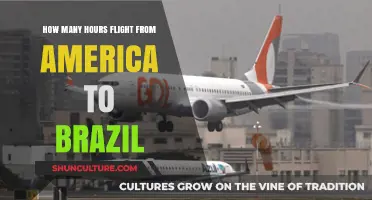 Flight Duration: America to Brazil Travel Time Explained
