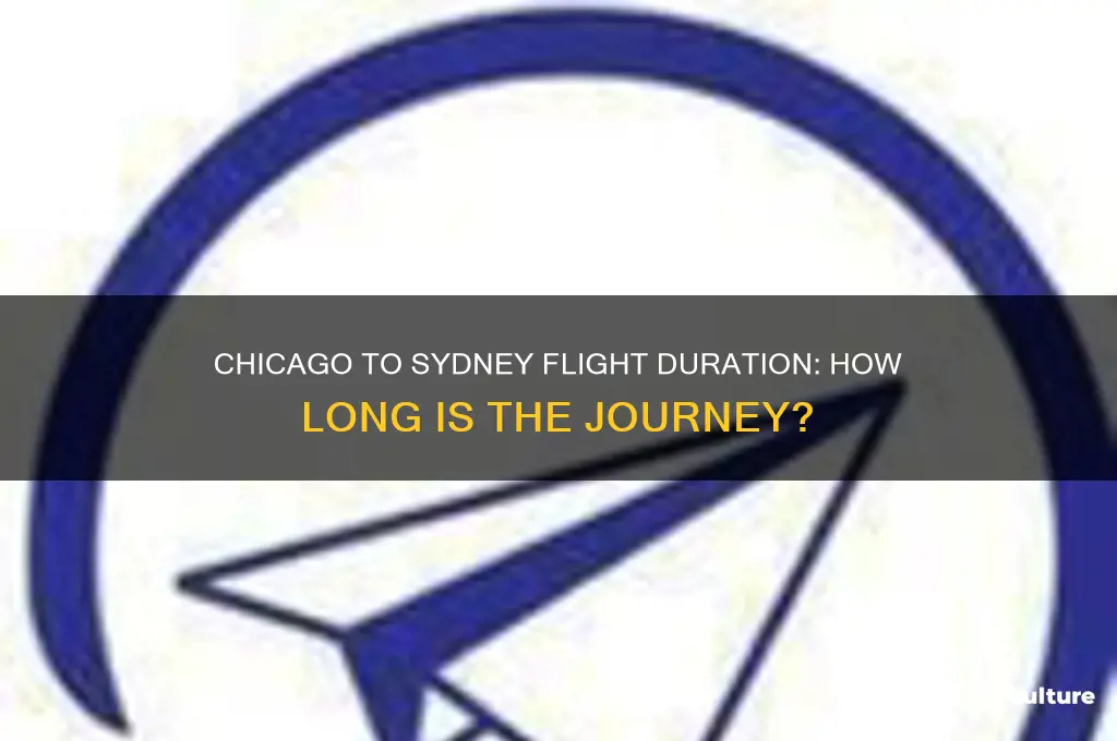 how many hours flight from chicago to sydney australia