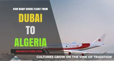 Dubai to Algeria Flight Duration: How Long is the Journey?