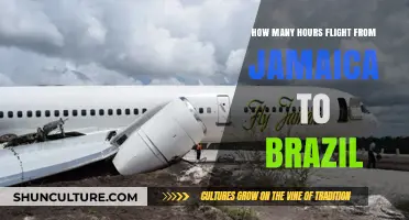 Jamaica to Brazil Flight Duration: How Long is the Journey?