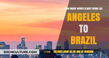 Los Angeles to Brazil: Flight Duration and Travel Tips
