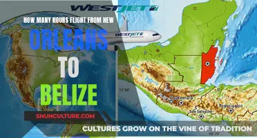 A Quick Hop to Paradise: Flight Time from New Orleans to Belize