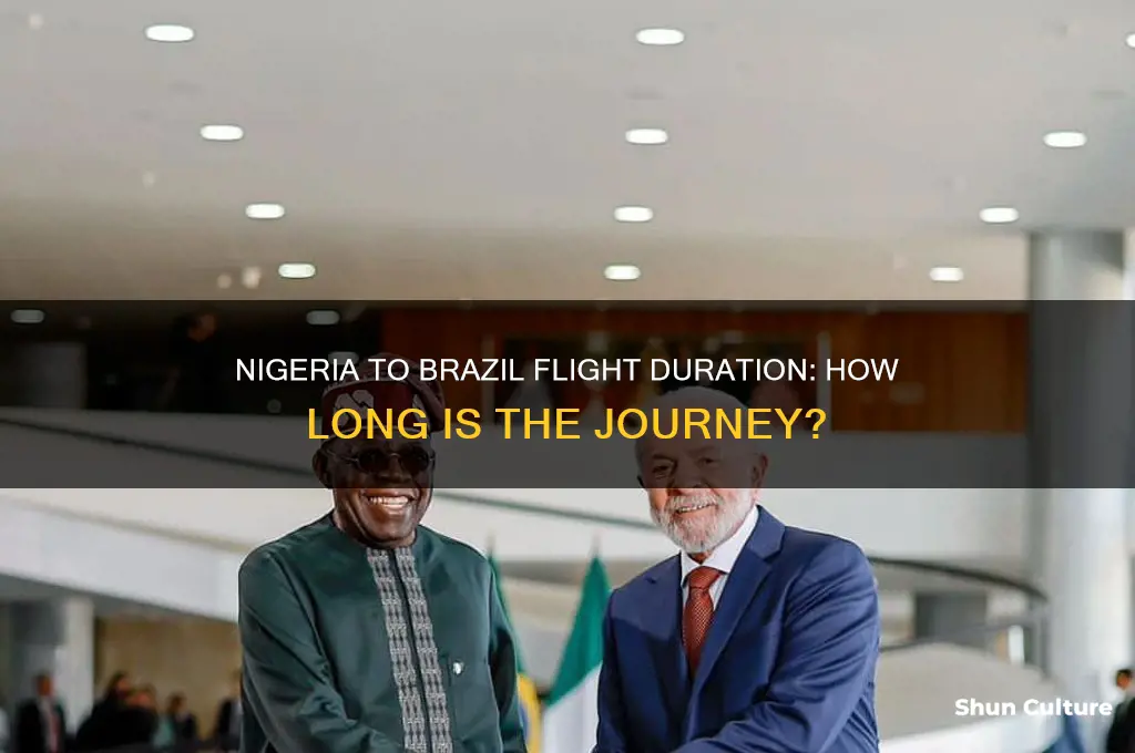 how many hours flight from nigeria to brazil