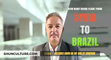 Syria to Brazil Flight Duration: A Comprehensive Travel Guide