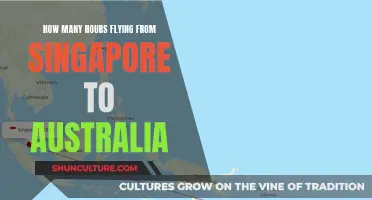 A Long-Haul Journey: Singapore to Australia
