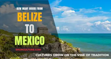 Belize to Mexico: A Quick Hop or a Long Haul?