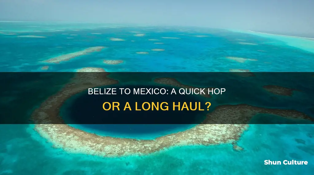 how many hours from belize to mexico