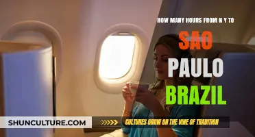 Travel Time: NYC to São Paulo Flight Duration Explained