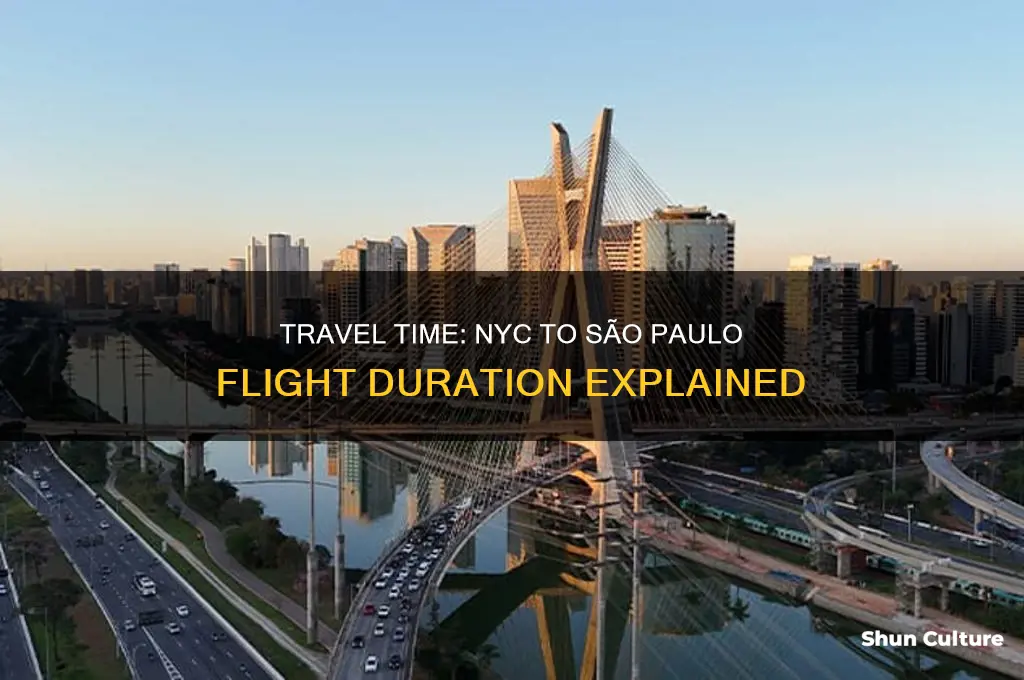 how many hours from n y to sao paulo brazil